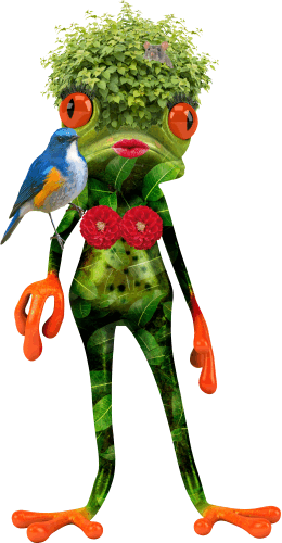 frosch_2022